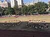 IMG_0545.jpg