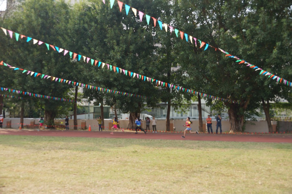 DSC01884.jpg