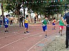 PB290229.jpg