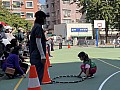 IMG_7598