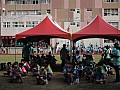 11129-0130.jpg