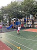 IMG_4222.jpg