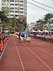 113-00014.jpg