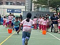 113-B00012.jpg 113-B00012.jpg