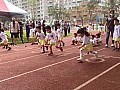 113_b00031.jpg