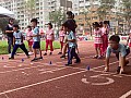 113_b02008.jpg