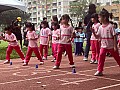 113_b02029.jpg