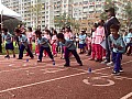 113_b02033.jpg