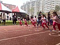 113_b02043.jpg