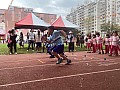 113_b02046.jpg