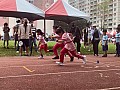 113_b02054.jpg
