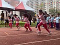 113_b02072.jpg