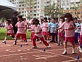 113_b02080.jpg