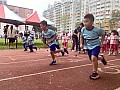 113_b02081.jpg