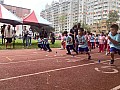 113_b02082.jpg