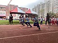 113_b02099.jpg