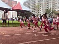 113_b02109.jpg