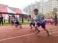 113_b02118.jpg