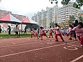 113_b02128.jpg
