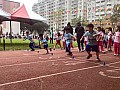 113_b02135.jpg