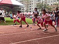 113_b03017.jpg