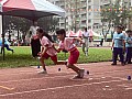 113_b03029.jpg