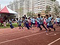 113_b03076.jpg