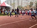 113_b03100.jpg