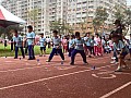 113_b03103.jpg
