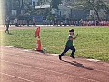 113_c03171.jpg 113_c03171.jpg