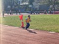 113_c03172.jpg 113_c03172.jpg