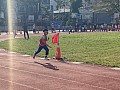 113_c03173.jpg 113_c03173.jpg
