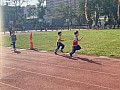 113_c03180.jpg 113_c03180.jpg