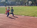 113_c03187.jpg 113_c03187.jpg