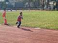113_c03192.jpg 113_c03192.jpg