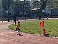 113_c03211.jpg 113_c03211.jpg