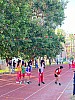 113_c05071.jpg 113_c05071.jpg