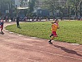 113_c05137.jpg 113_c05137.jpg