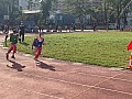 113_c05138.jpg 113_c05138.jpg
