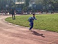 113_c05149.jpg 113_c05149.jpg