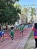 113_c06008.jpg