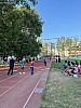 113_c06070.jpg