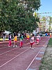 113_c06110.jpg