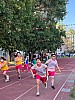 113_c06113.jpg
