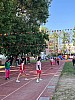 113_c06136.jpg