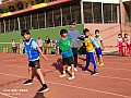 113_c06158.jpg