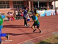 113_c06162.jpg