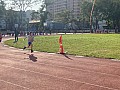 113_c06179.jpg