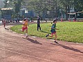 113_c06194.jpg