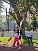 113_c06225.jpg